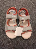 Geox Sandalen Gr 35 neu Nordrhein-Westfalen - Datteln Vorschau