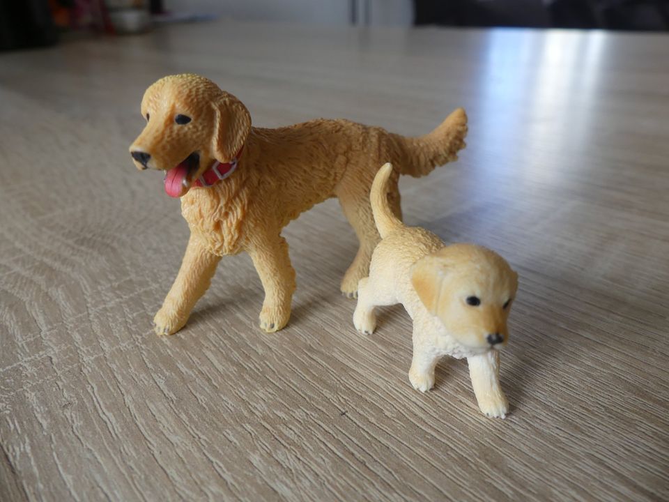 Schleich Tiere Golden Retriever in Hermsdorf