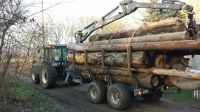Holztransport Holz Rückewagen Holz fahren Forst Baum Wald Sachsen - Liebstadt Vorschau