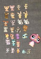 Littlest PetShop Wackeltier Sammlung von Hasbro mit viel Zubehör. Rheinland-Pfalz - Niederweiler (Hunsrück) Vorschau