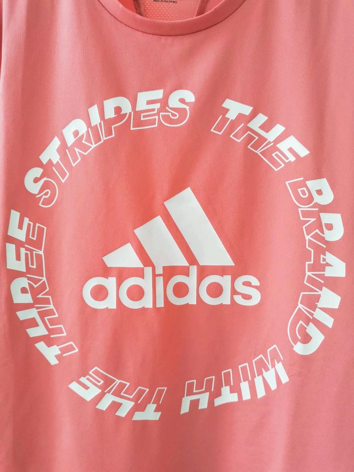Adidas Shirt Gr. 164 in Teichland