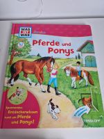 Was ist was Pferde und Ponys sehr guter Zustand Nürnberg (Mittelfr) - Nordstadt Vorschau