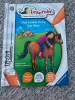 tiptoi - Das tollste Pony der Welt Nordrhein-Westfalen - Kerken Vorschau