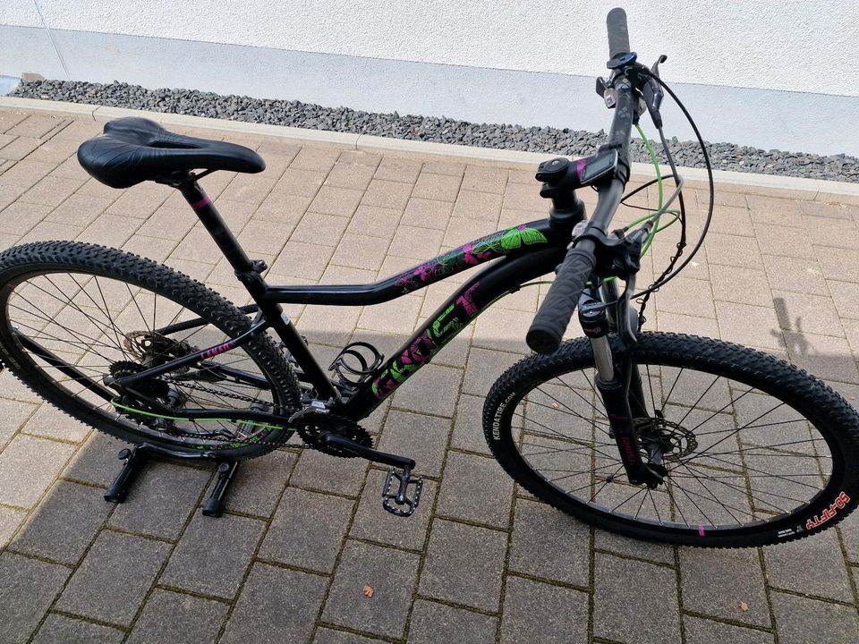 Fahrrad, Mountainbike in Kelheim