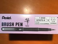 PENTEL Brush Pen für Design, Manga & Skizze / neu & original Niedersachsen - Seevetal Vorschau