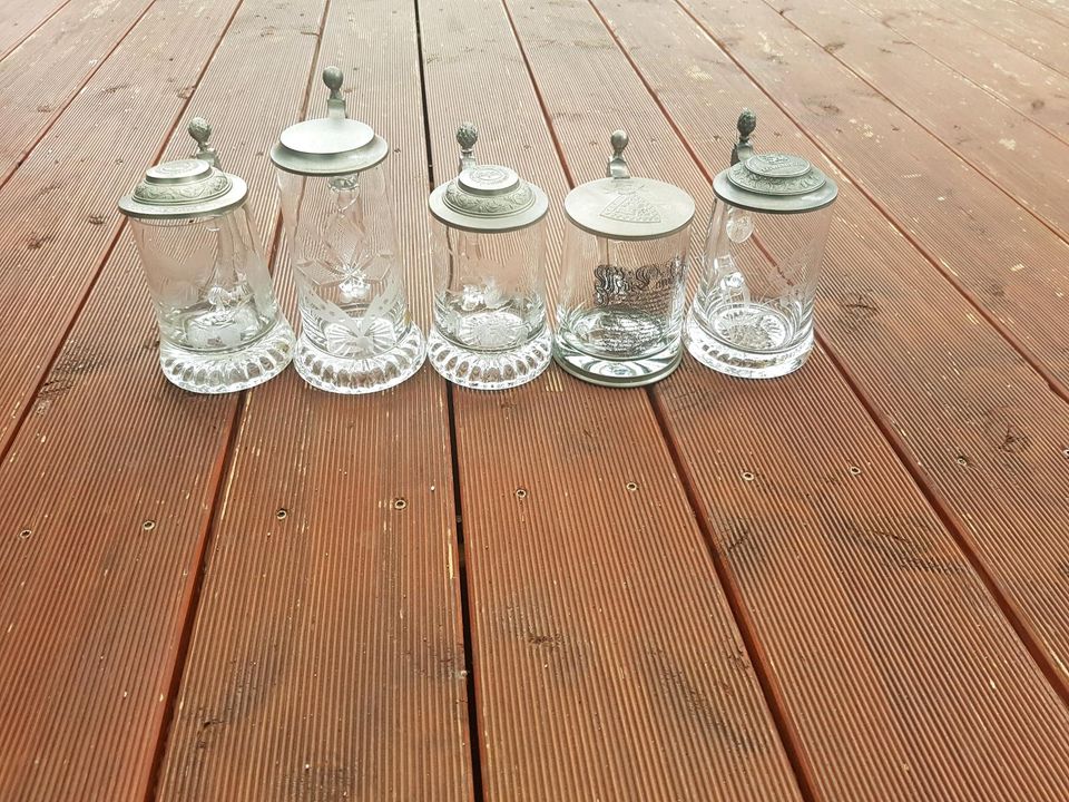 Verschiedene Bierkrüge Glas in Pforzheim