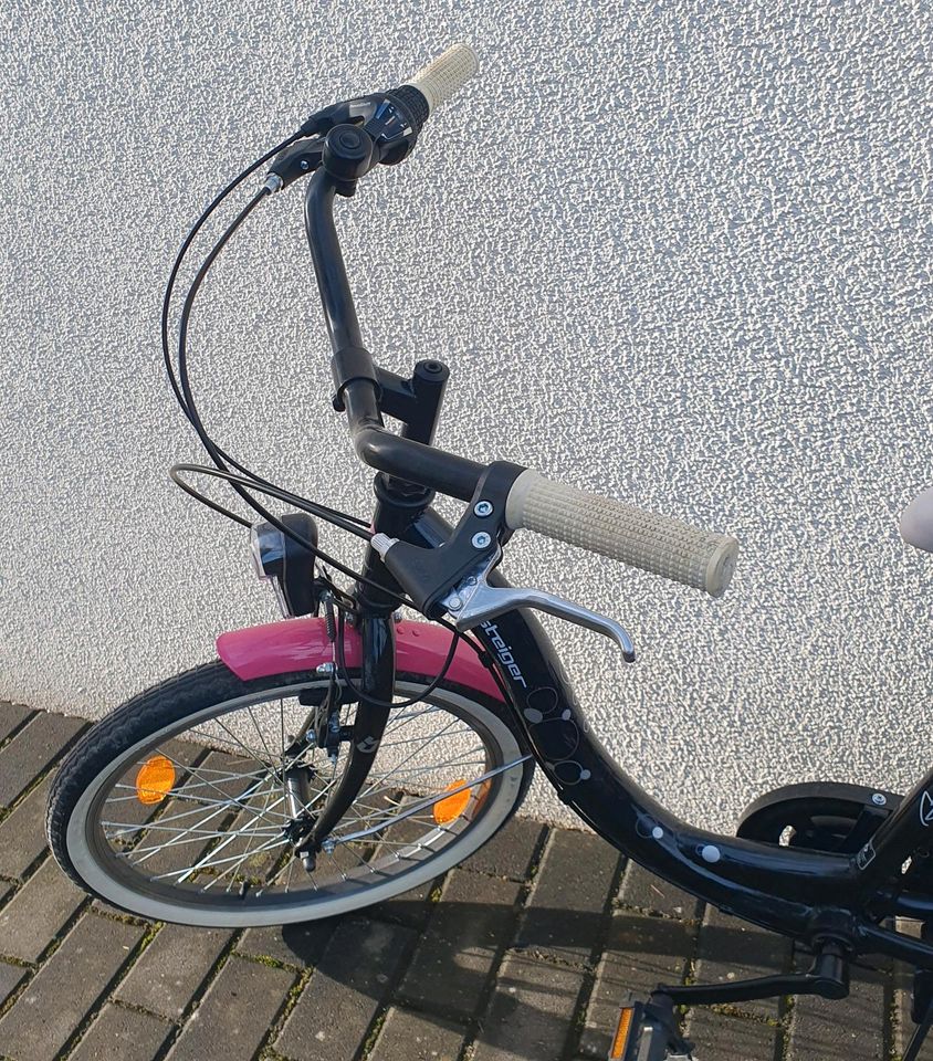 Kinderfahrrad 20Zoll Bergsteiger in Aschersleben