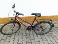 Fahrrad, Damanfahrrad, 26 er, 7 Gang Sachsen - Schönheide Vorschau
