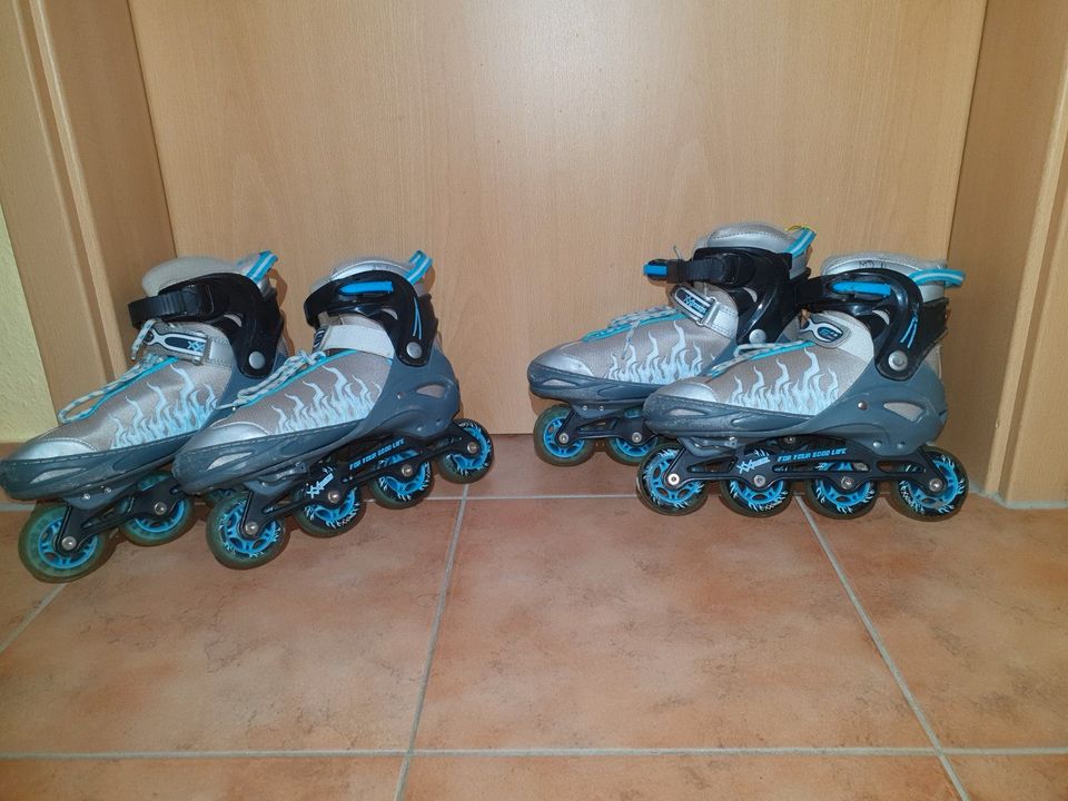 Inline-Skater, verstellbar Größe 38 - 41 in Salzwedel