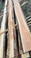 14Stk Douglasie 2,5x400cm Schwarte Brett unbesäumt Bohle Holz Herzogtum Lauenburg - Buchhorst Vorschau