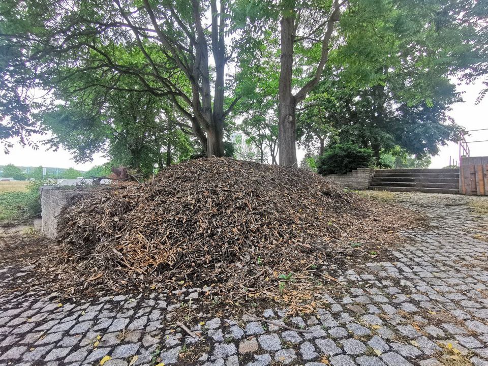 Hackschnitzel / Rindenmulch in Weimar