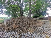 Hackschnitzel / Rindenmulch Thüringen - Weimar Vorschau