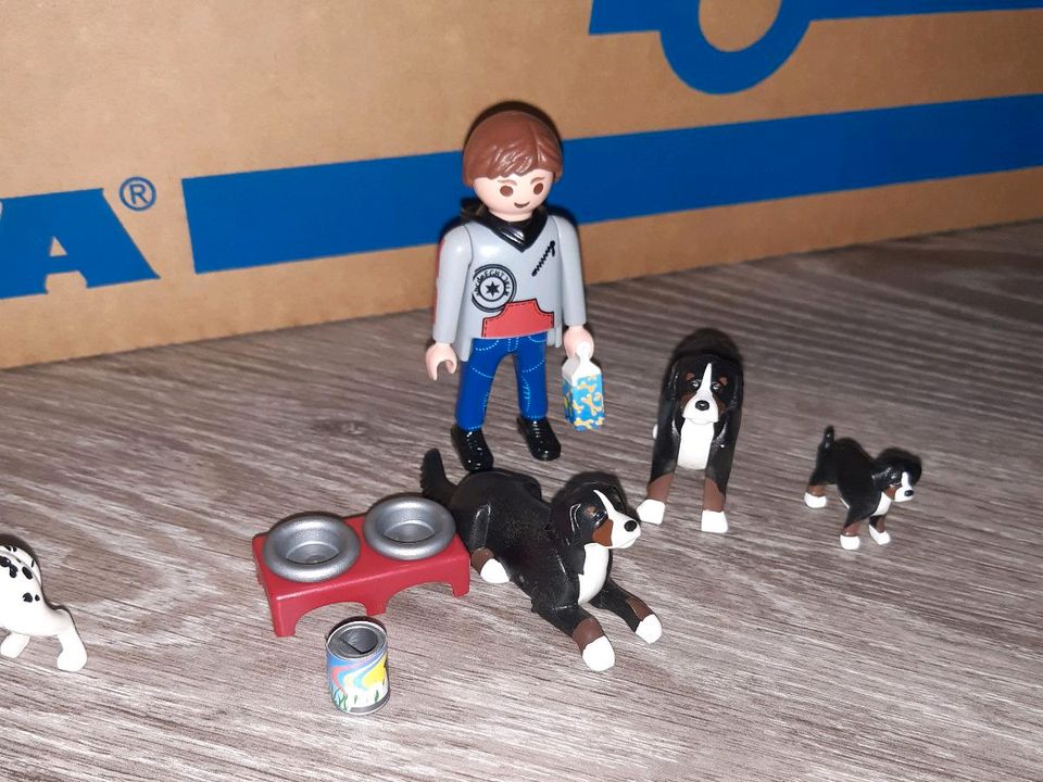 Playmobil Hunde 5214, 5212, 5125 in Landshut