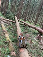 Baumfällung Baumschnitt Baumpflege Wurzelentfernung Forst Sachsen - Bautzen Vorschau