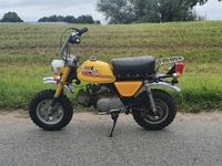 SUCHE Honda Monkey Z50J Bayern - Pfaffenhofen a.d. Ilm Vorschau