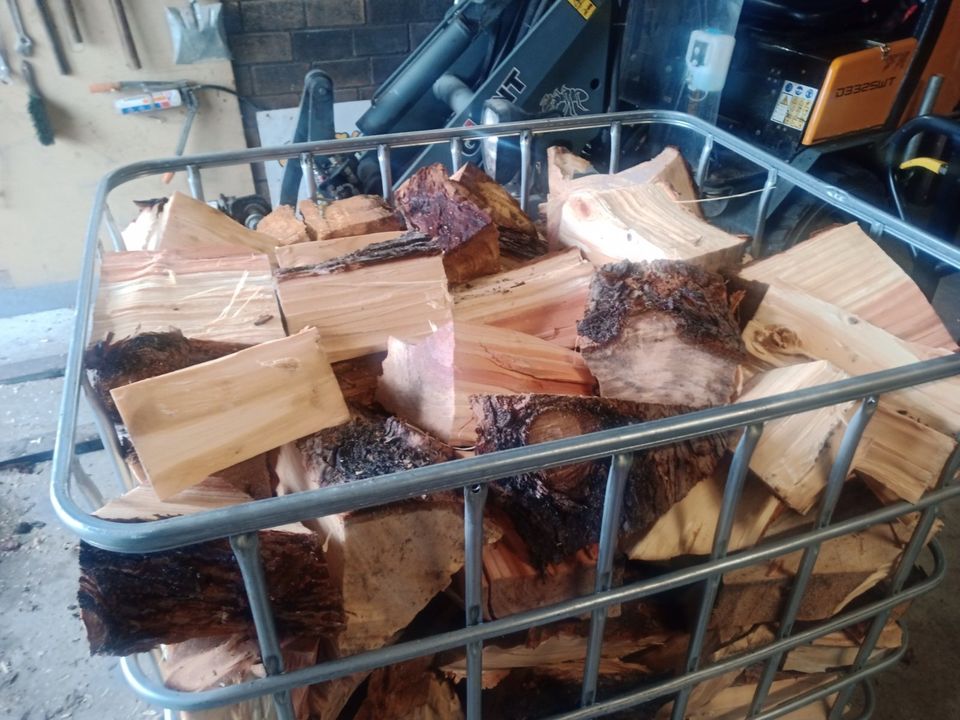 Brennholz Zypresse Kostenlose Lieferung in Bottrop