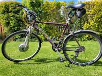 Heinzmann DIY E-Bike mit Muddy Fox Como Rahmen Berlin - Spandau Vorschau