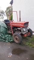 Oldteimer Traktor "Massey Ferguson"135 Mecklenburg-Vorpommern - Zirchow Vorschau