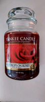 Yankee Candle Raindrops on Roses 623g Erstauflage 2011 *Rarität * Nordrhein-Westfalen - Moers Vorschau