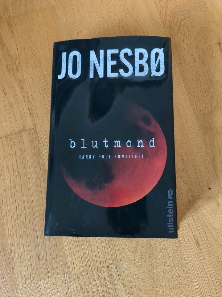 Jo Nesbo - Blutmond in Sulzberg