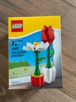 Lego 40187 - Blumenpracht Bayern - Amberg Vorschau