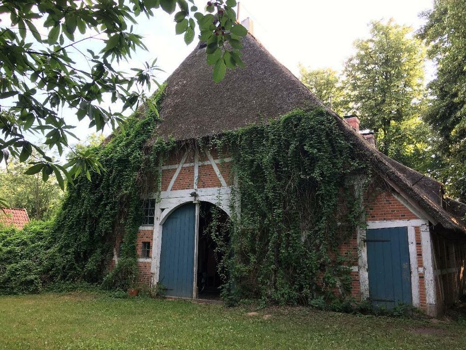 Seminarhaus Hohenhorn in der Nähe Hamburgs zu vermieten in Hohenhorn