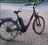 E-Bike CityRay e 4.0 26" nexus FW Thüringen - Zedlitz Vorschau