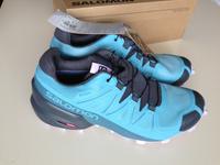 Salomon Speedcross GTX Gore-Tex Damen Wanderschuhe 40 Chemnitz - Kaßberg Vorschau