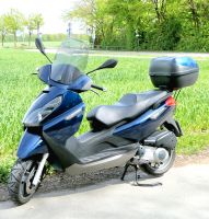 Piaggio X7 250 Kr. München - Putzbrunn Vorschau