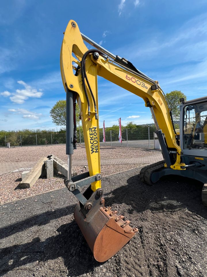 Wacker Neuson 6003 6,3t. (INKL MWST) MS03, Hammerl. in Bad Hersfeld