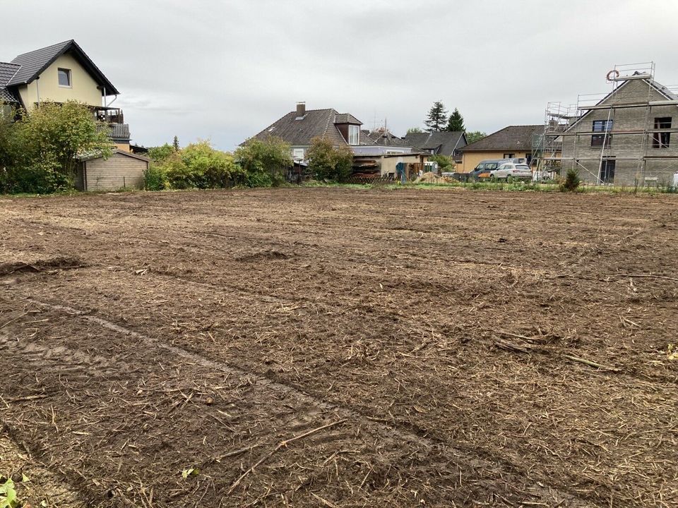 Forstmulcher Flächenrodung Miete oder als Dienstleistung in Wrestedt