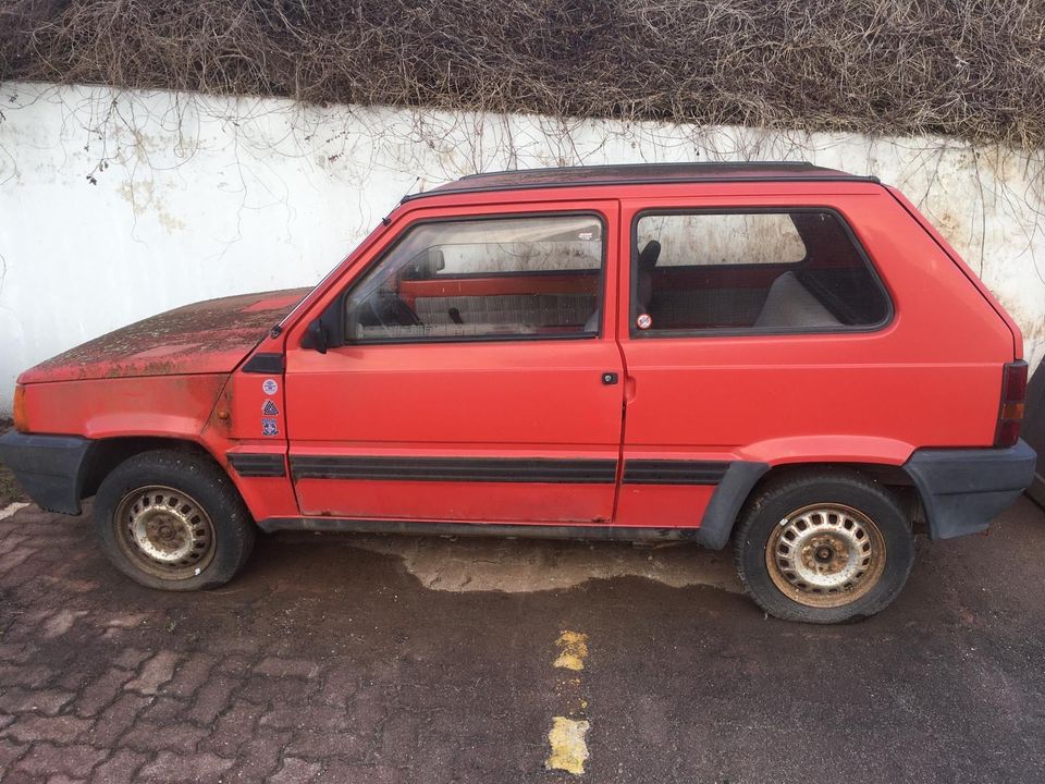 Fiat Panda in Mansfeld