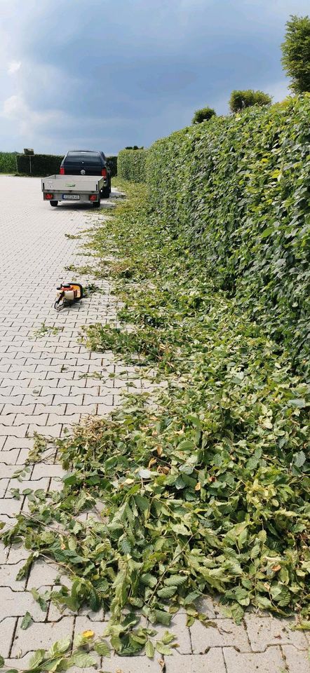 Garten helfen, Sperrmüll abholen in Fraunberg