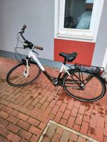 Raleigh Damenfahrrad 28er Rahmen, 7 Gang Shimano Bayern - Freudenberg (Oberpfalz) Vorschau