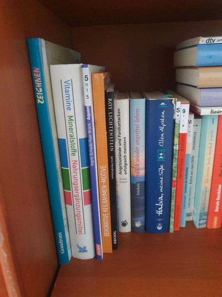 Viele verschiedene Bücher in Damme