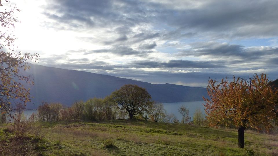 Frühbucherrabatt 10 %! Wohnung Gardasee, Seeblick, Pool, Wlan in Ölbronn-Dürrn