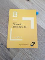 Alpmann Schmidt Basiswissen Strafrecht BT Dresden - Pieschen Vorschau