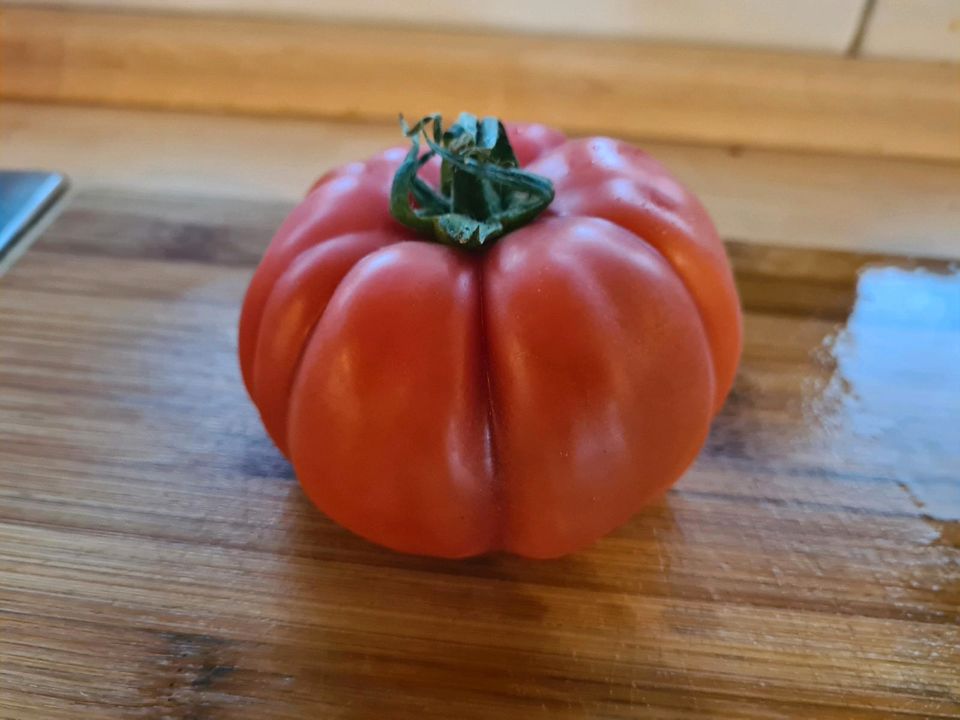Pflanzen Sämlinge Tomaten Gurken Zucchini Kürbis Auberginen Honig in Graben-Neudorf