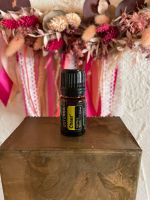 doTERRA Cheer ätherische Öle 5ml NEU Aromatherapie Baden-Württemberg - Sinsheim Vorschau