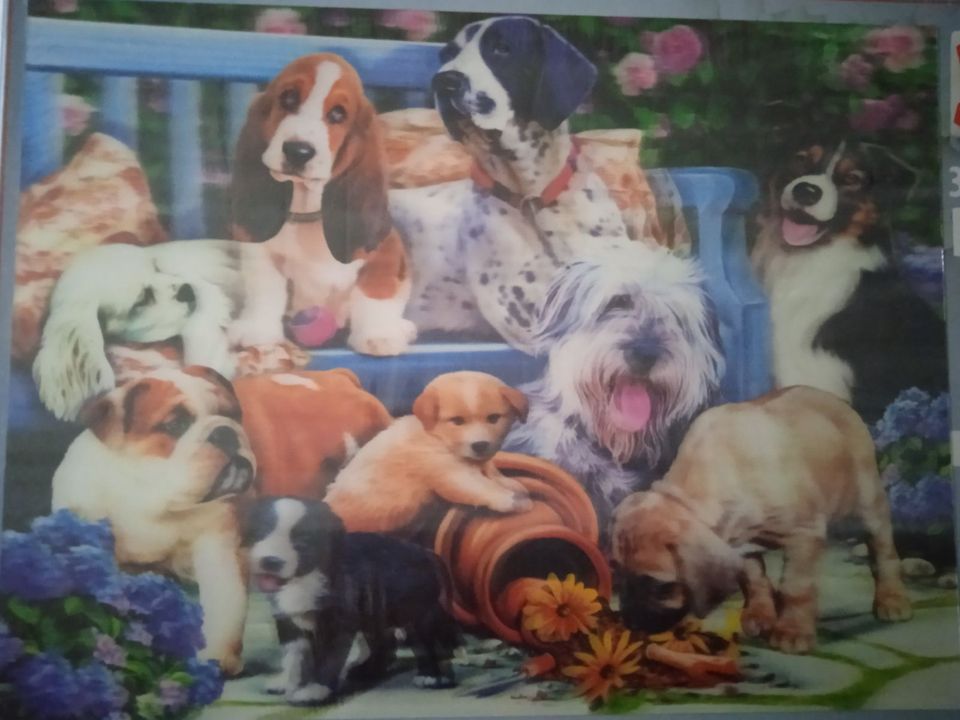 Puzzle Hunde 3D Effekt neu original verpackt 500 Teile in Aschersleben