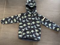 H&M Softshelljacke Größe 128 Dinosaurier Baden-Württemberg - Bad Schussenried Vorschau