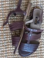 ECCO  Sandalen 38 Braun Leder NEU Riemensandalen Niedersachsen - Aurich Vorschau