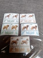 Briefmarken Sammlung Hunde Bayern - Blaibach Vorschau