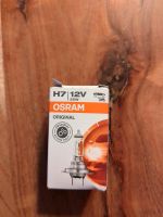 Osram H7 autolampe Bremen - Borgfeld Vorschau