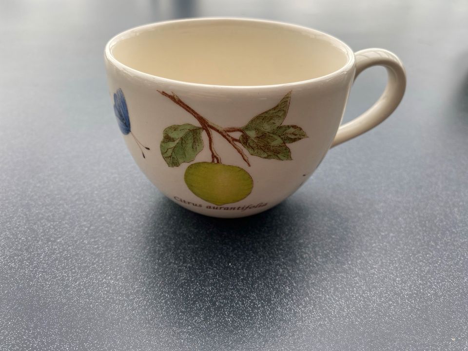 Wedgwood Kaffeetasse 9cm Durchmesser in Niederbergkirchen