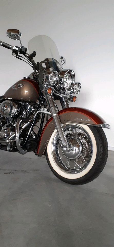 Harley Davidson "Deluxe" FLSTN in Warburg