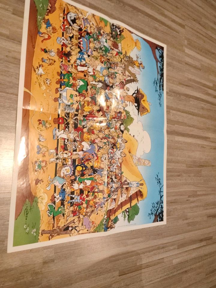 Asterix komplett 40, Bände , Extra Beilage Riesenposter in Schmelz