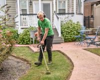 Baumfällung Heckenschnitt Gartenpflege Laubentsorgung Reinigung Bayern - Mering Vorschau