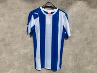 PUMA Striped Herren Trikot blau weiß Größe S Rheinland-Pfalz - Landstuhl Vorschau