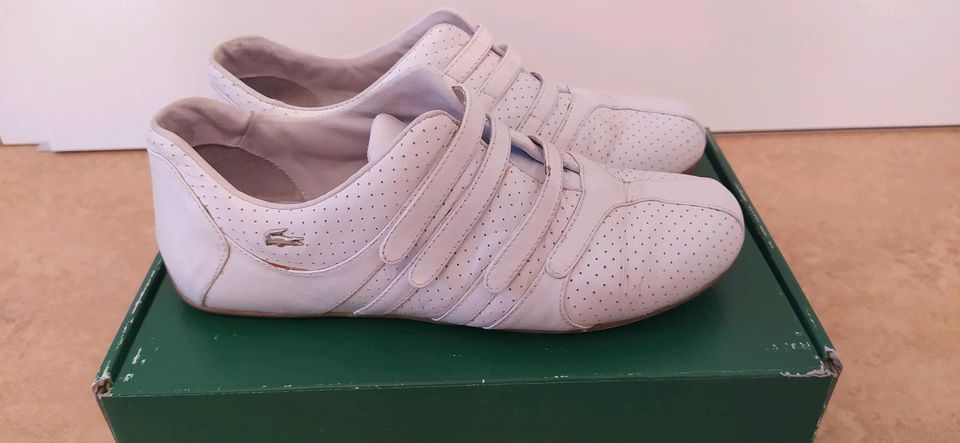 LACOSTE Schuhe, Sneaker ,weiß Größe 37 , Größe 4 ,Leder in Pommelsbrunn